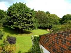 Room View